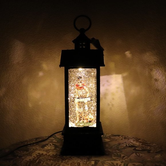 Raz Imports Other - Raz Imports Halloween Skeleton Water Lantern Globe